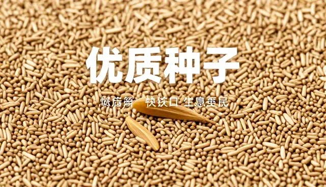 产品方向在品种选择中的库存管理检查要点